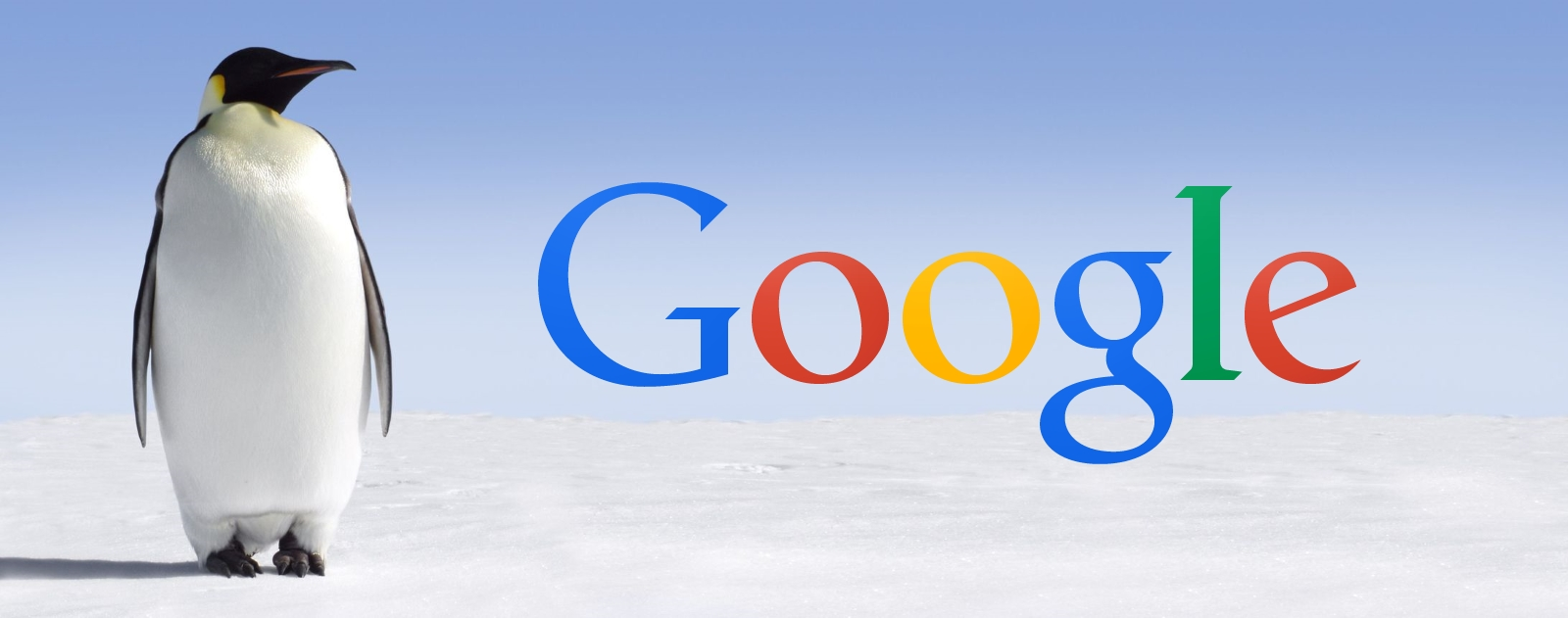 Cách phòng tránh Google Penguin trong tương lai