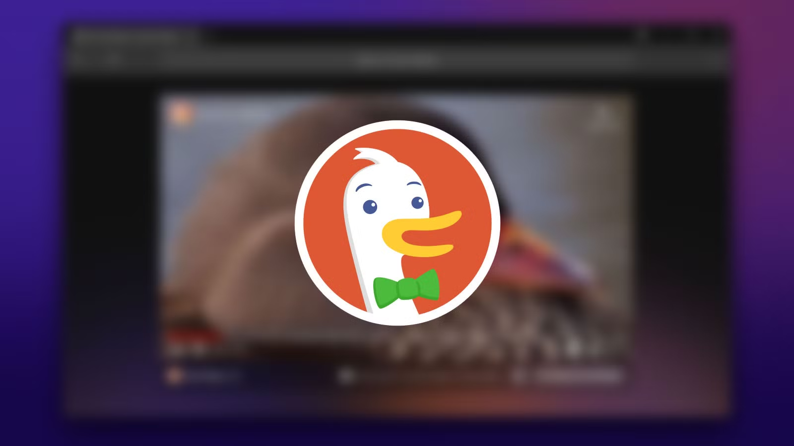 DuckDuckGo – Sự lựa chọn của người dùng quan tâm đến quyền riêng tư