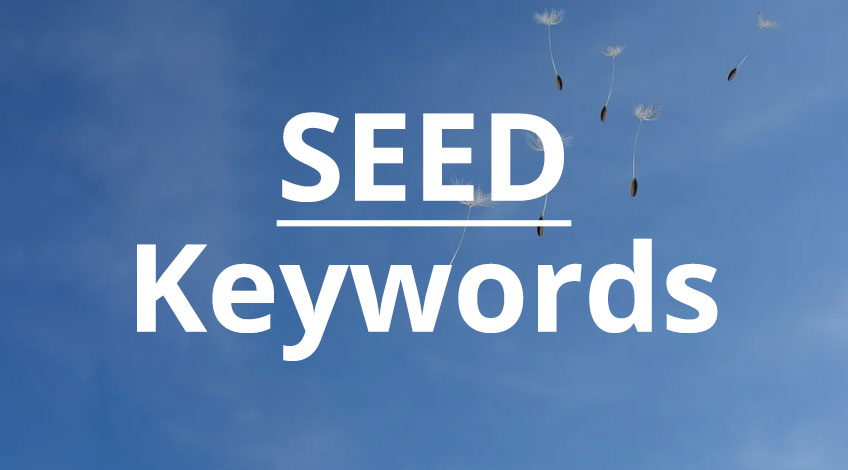 Seed Keywords – hay còn gọi là từ khóa hạt giống