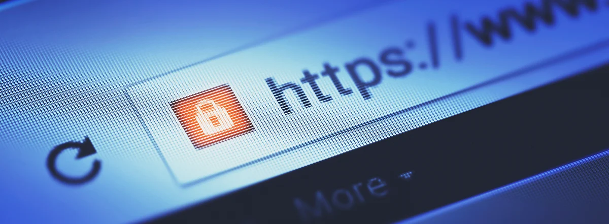 Vì sao cần kiểm tra độ uy tín của website